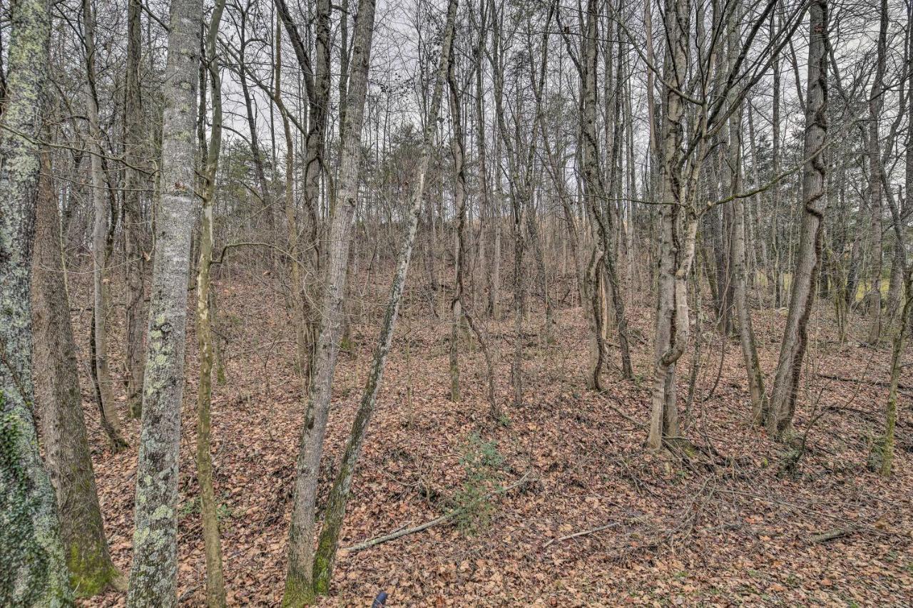 Cozy Apartment In Wooded Setting With Deck! Blountville Esterno foto